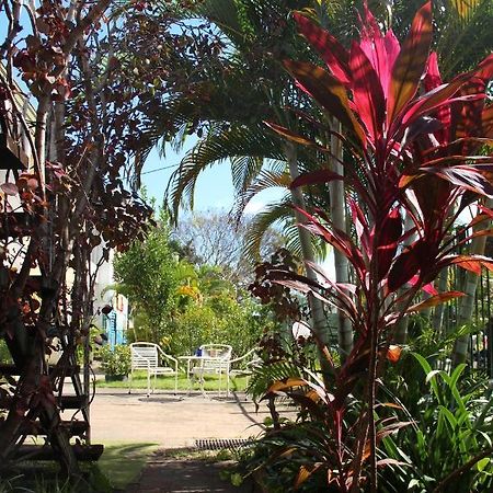 Хостел Asylum Cairns Share House Экстерьер фото